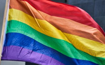 regenboogvlag nieuwkoop