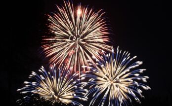 torenschuddersfeest 2020 nieuwkoop