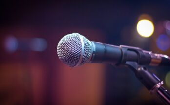 eindmusical rietkraag