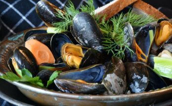 mosselen nieuwkoop eten