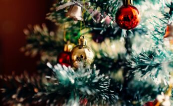 intratuin kerstshow