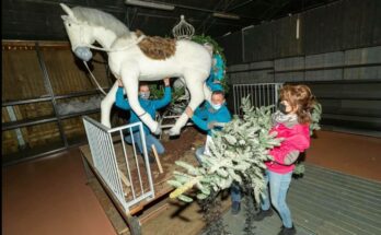 kerstshow intratuin ter aar opruimen