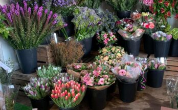 pop up bloemenstal intratuin